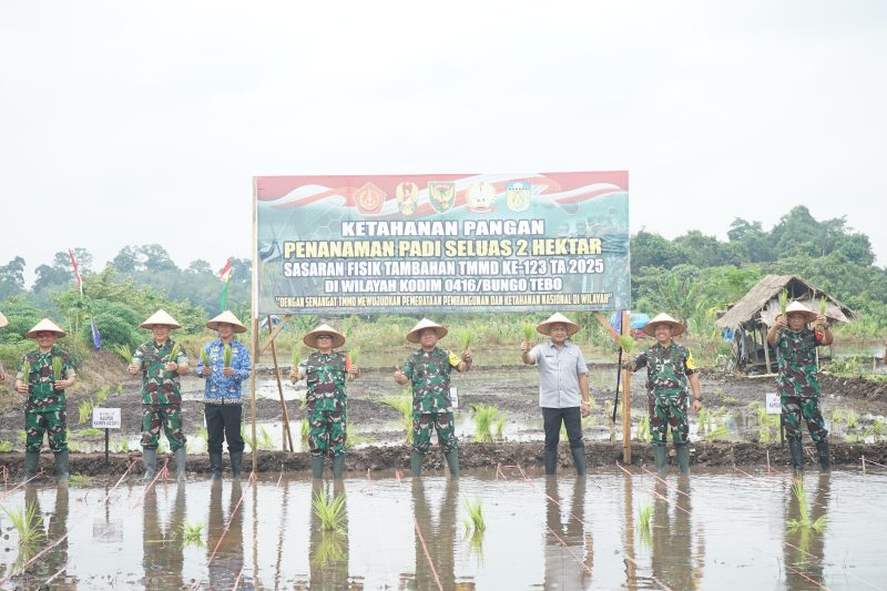 Ketahanan Pangan Penanaman Padi TMMD ke-123 Kodim 0416/Bute
