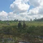 Peduli Pertanian, Babinsa Dampingi Warga Rawat Tanaman Cabai untuk Tingkatkan Hasil Panen
