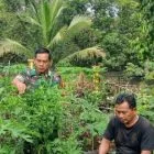 Babinsa Koramil 416-02/Tanah Tumbuh Dampingi Warga Manfaatkan Pekarangan untuk Ketahanan Pangan