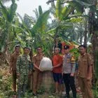 Babinsa Pelda Wahyu Widayat Dampingi Penyerahan 5.000 Bibit Ikan Lele untuk Karang Taruna Desa Kuning Gading