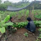 Babinsa Koramil 416-05/Muara Tebo Jalin Silaturahmi dan Beri Motivasi Petani di Desa Suo Suo