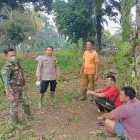 Sinergi Tanpa Batas, Babinsa Sertu Rustam dan Bhabinkamtibmas Perkuat Deteksi Dini di Desa Pulau Kerakap